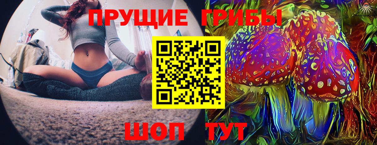 Псилоцибиновые грибы Cubensis Городец