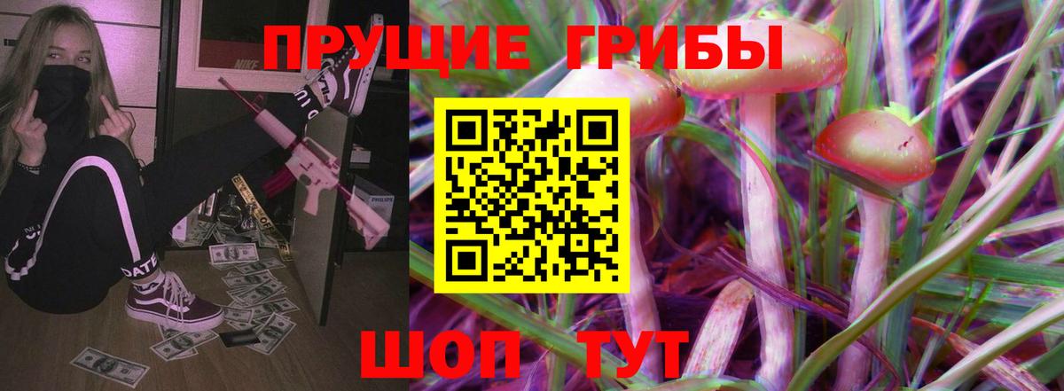 Галлюциногенные грибы GOLDEN TEACHER  закладка  Городец  Вход с VPN  Псилоцибиновые грибы Psilocybine cubensis 